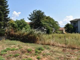 ΑΠΟΨΗ ΟΙΚΟΠΕΔΟΥ