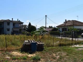 ΑΠΟΨΗ ΟΙΚΟΠΕΔΟΥ