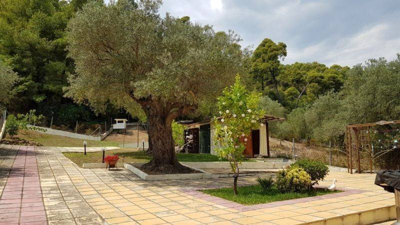 Θέα από μπαλκόνι