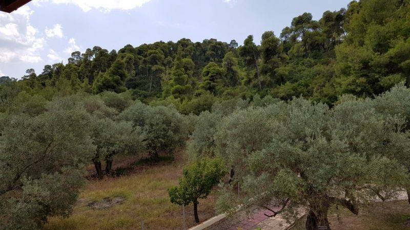 Θέα από μπαλκόνι