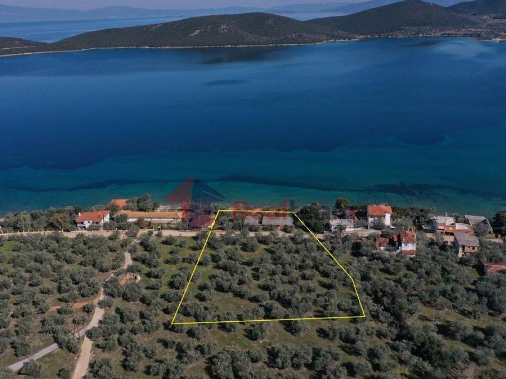 Εξωτερικοι χώροι