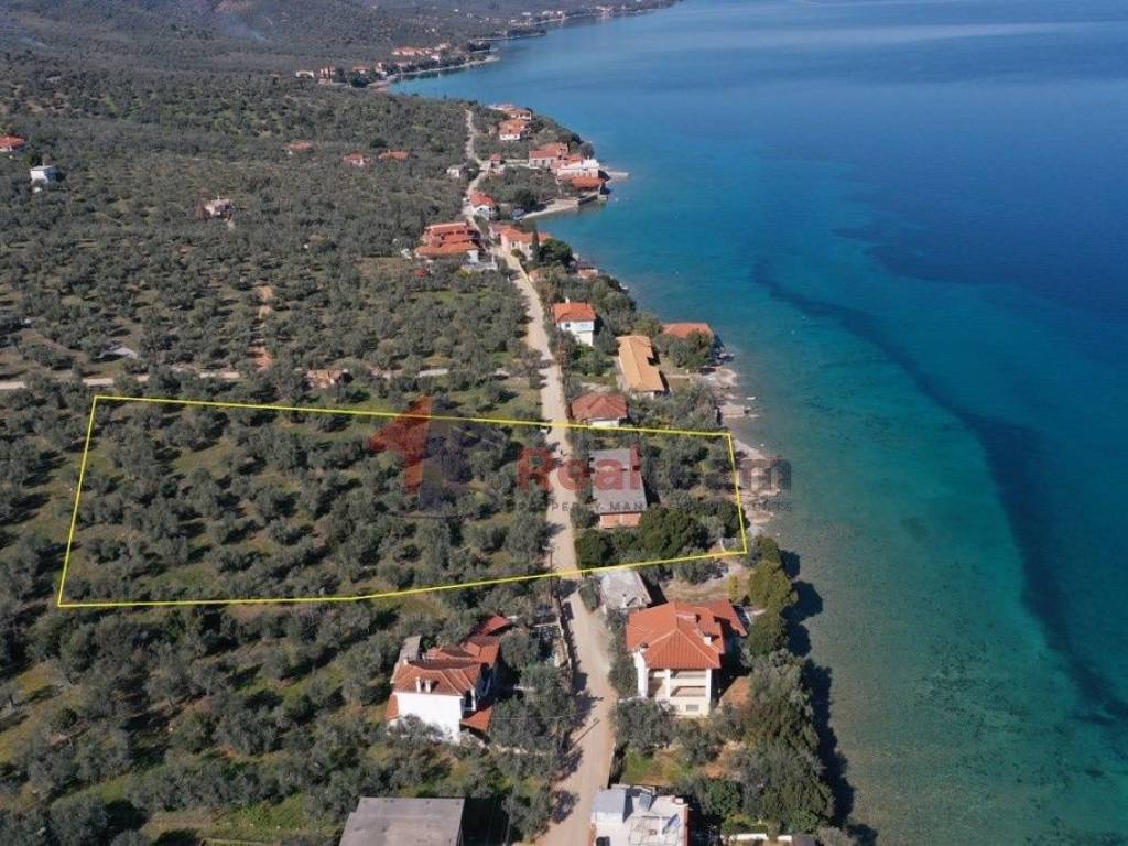 Εξωτερικοι χώροι