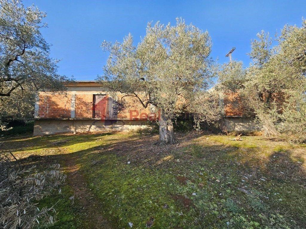 Εξωτερικοι χώροι