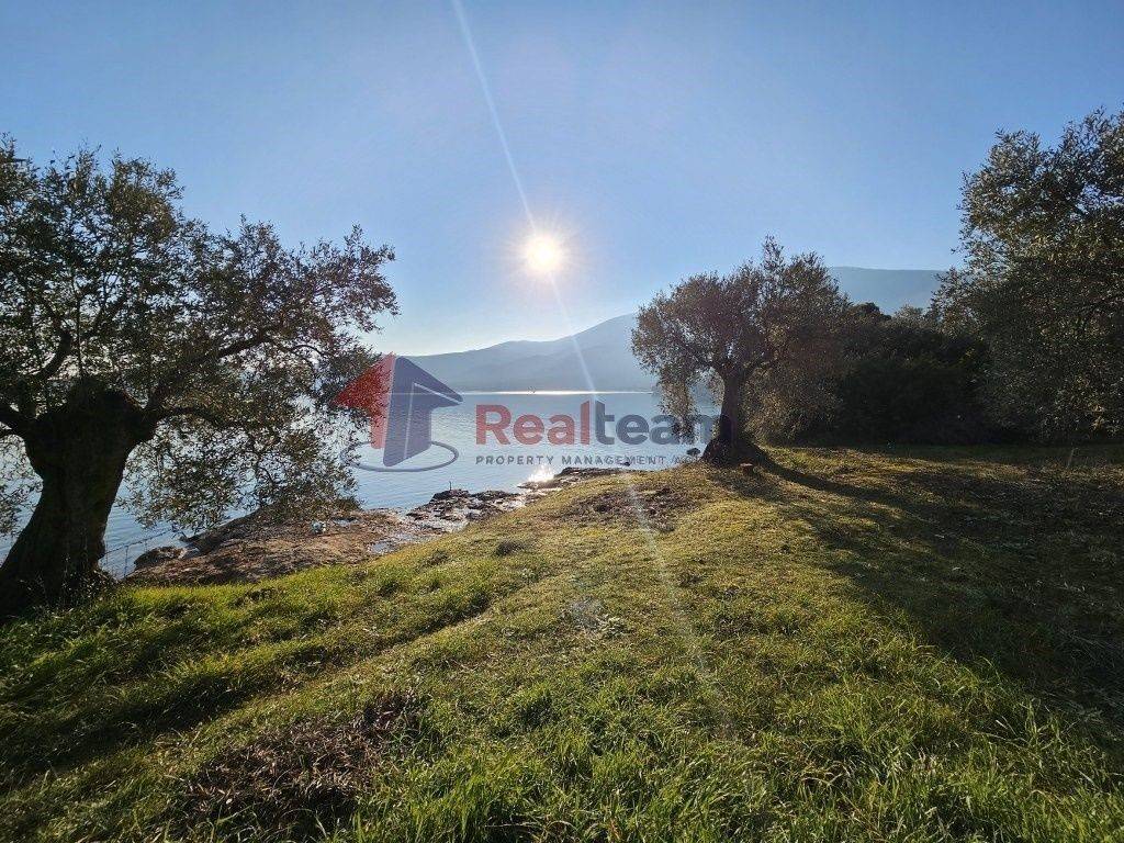 Εξωτερικοι χώροι