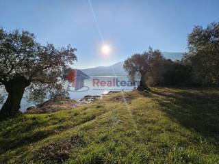 Εξωτερικοι χώροι