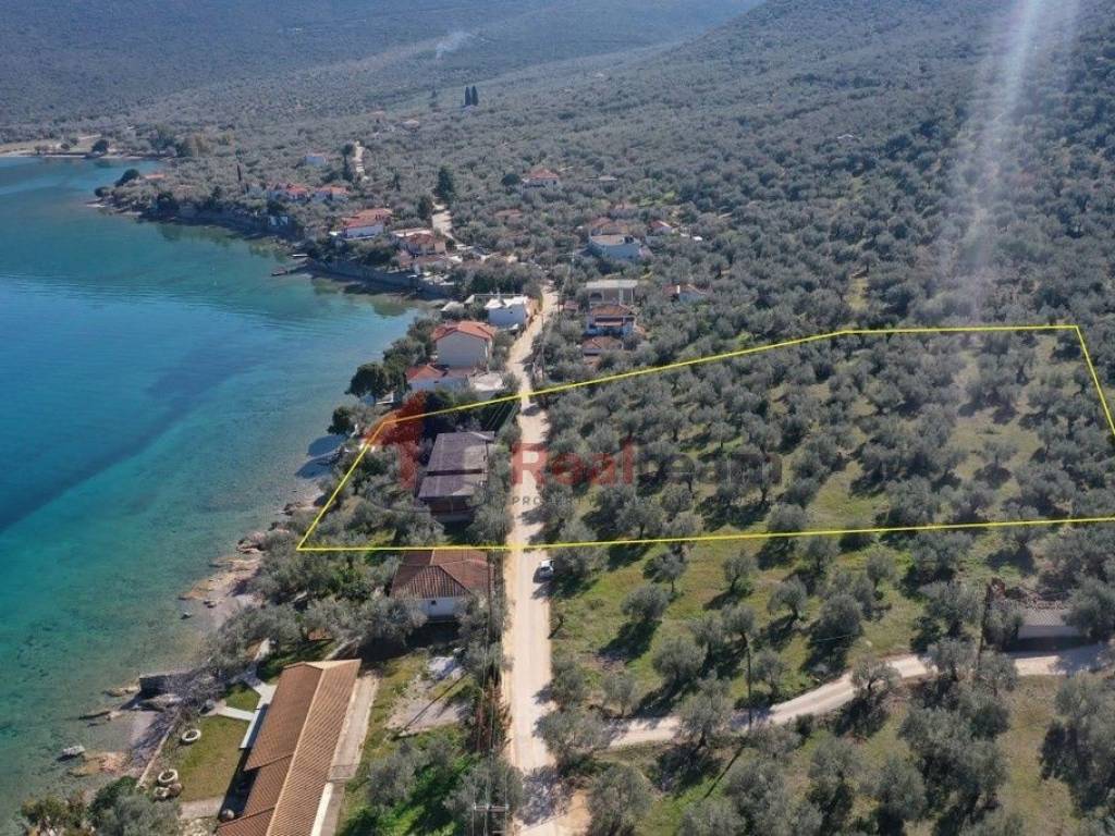 Εξωτερικοι χώροι