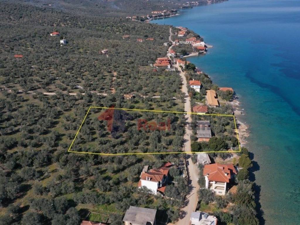 Εξωτερικοι χώροι