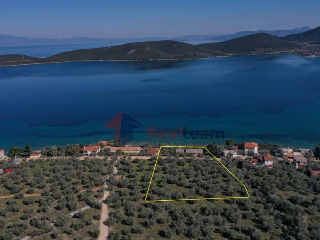 Εξωτερικοι χώροι