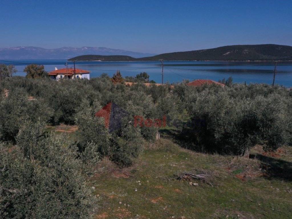 Εξωτερικοι χώροι