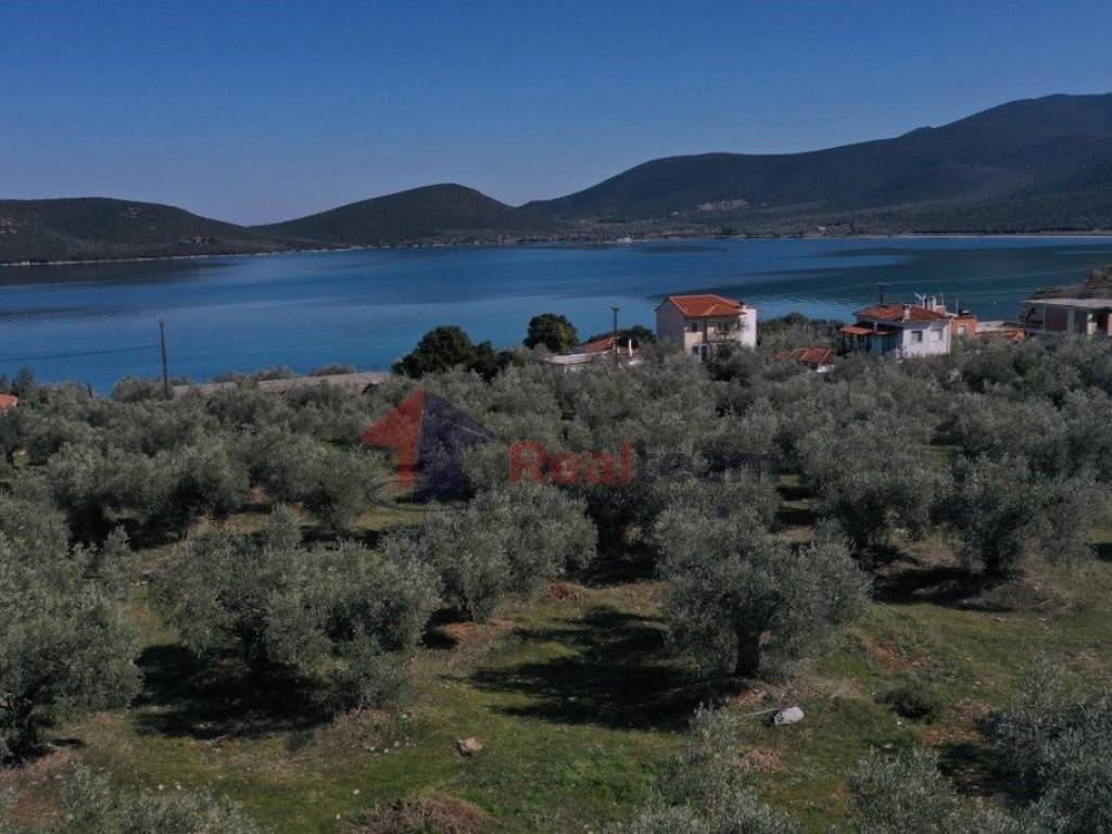 Εξωτερικοι χώροι