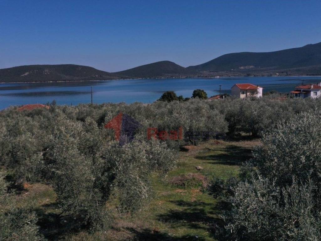 Εξωτερικοι χώροι