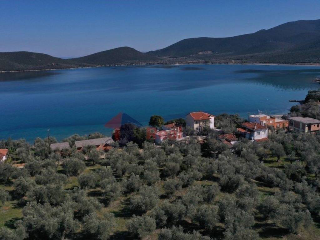 Εξωτερικοι χώροι