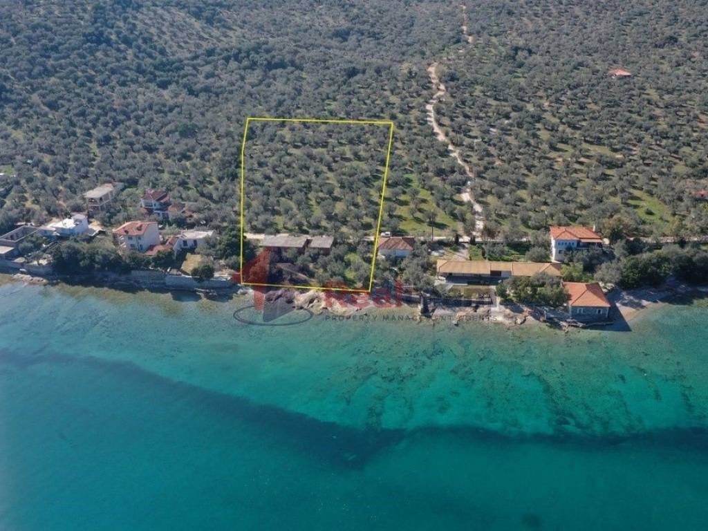 Εξωτερικοι χώροι