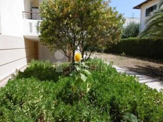 Θέα σε κήπο