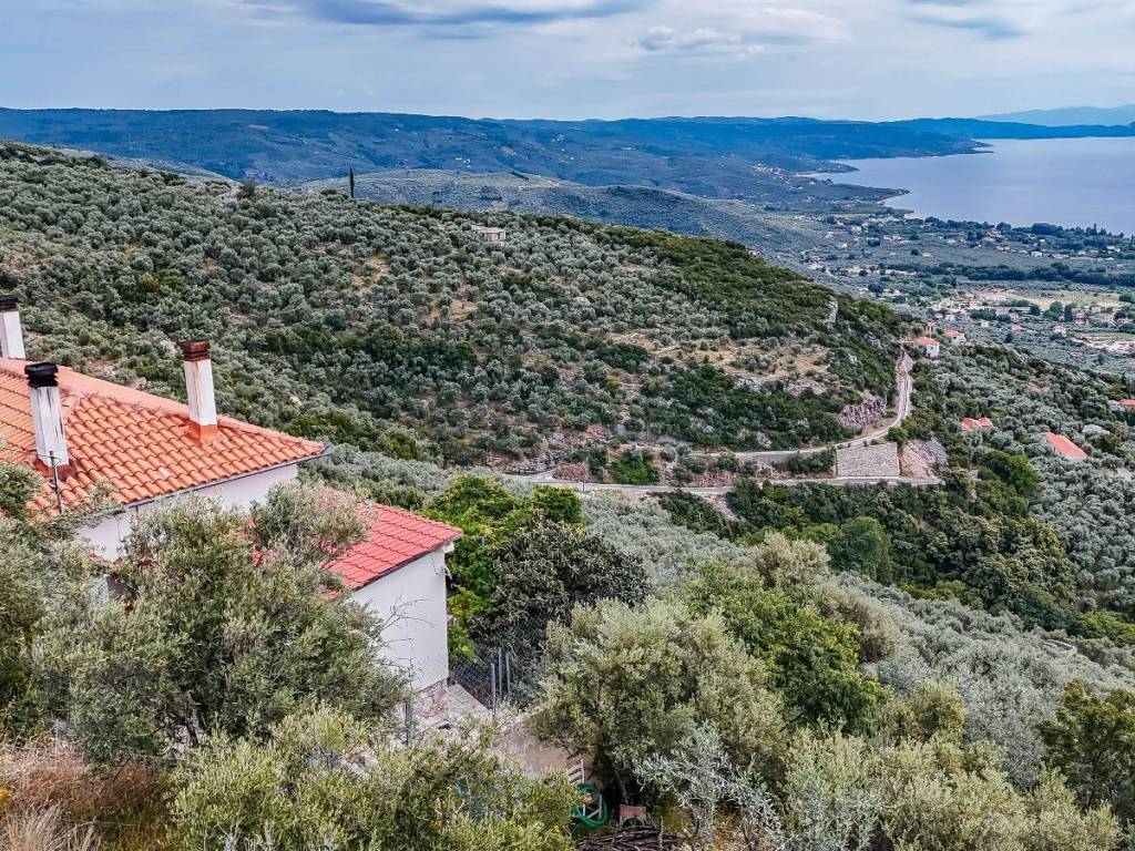 Area around the house