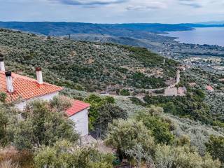 Area around the house