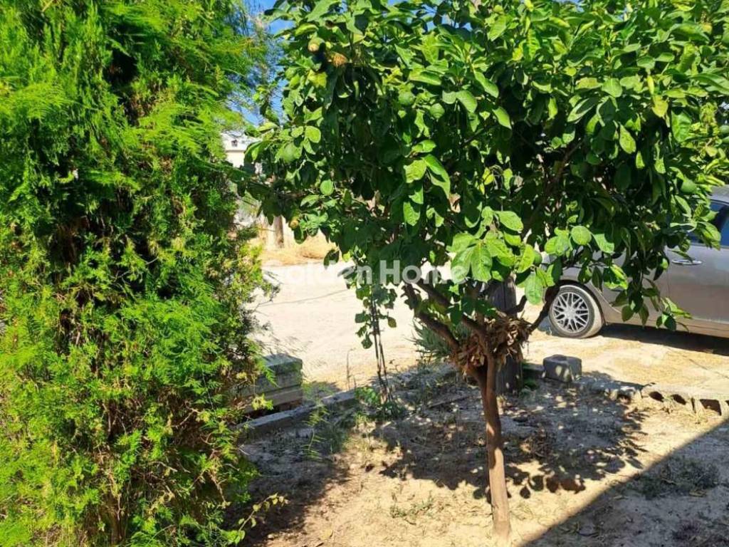 Εξωτερικός Χώρος