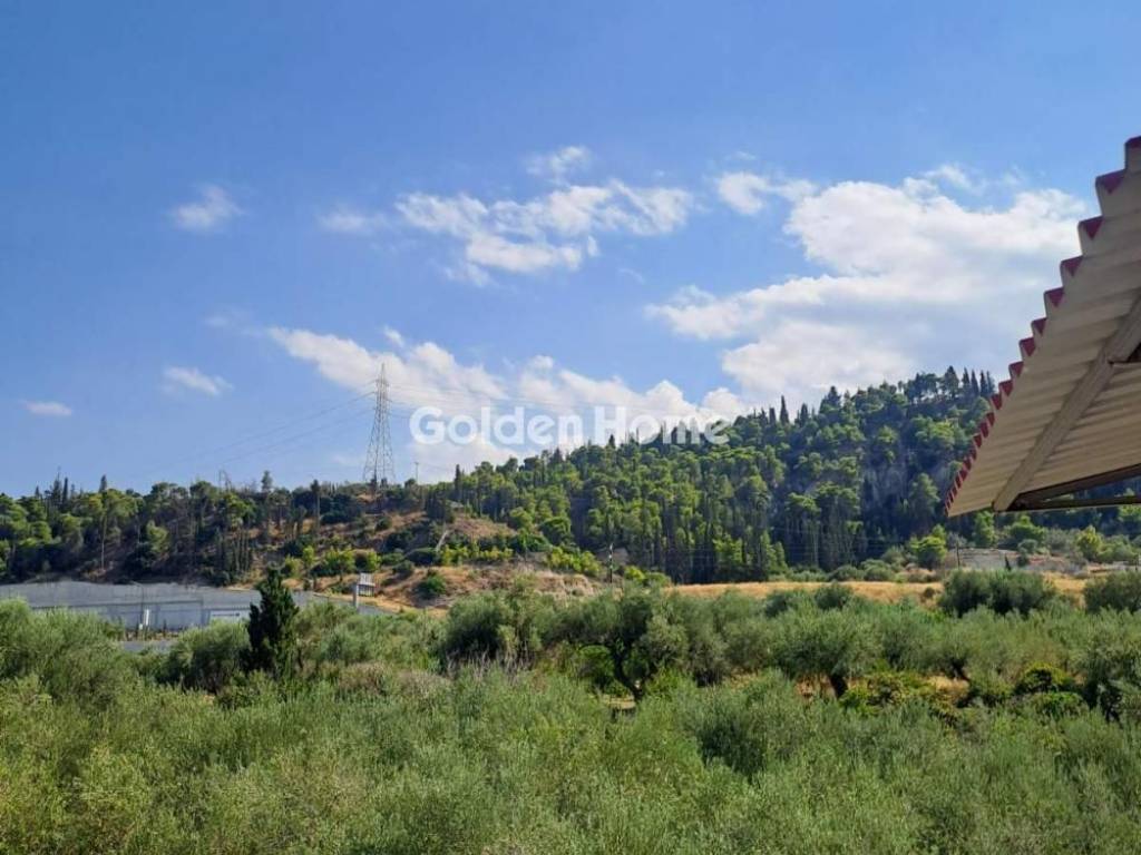 Εξωτερικός Χώρος