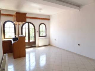 Σαλοκουζίνα