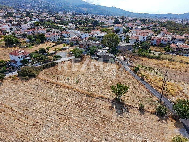 Αεροφωτογραφία