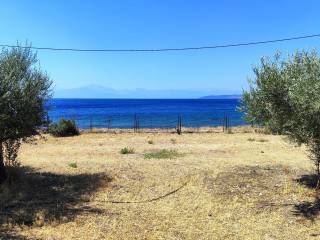 AGROTEMACHIO 2.667 T.M.