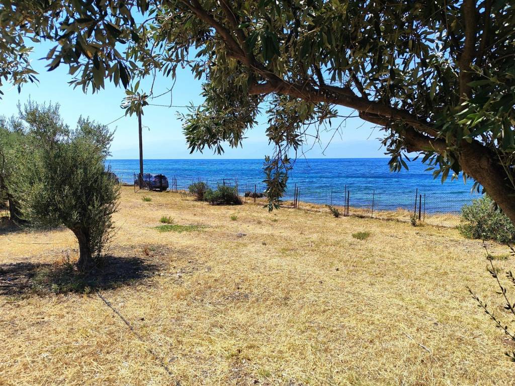 STE THESE PAPAGIANNE