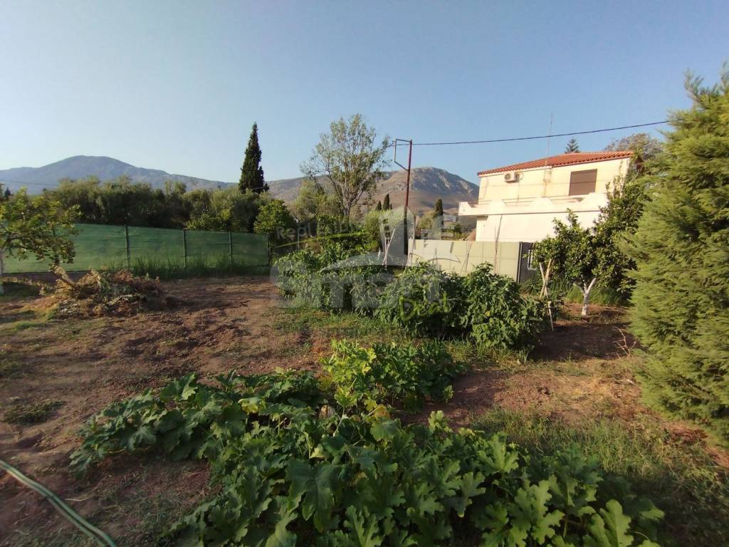 Εξωτερικοι χώροι