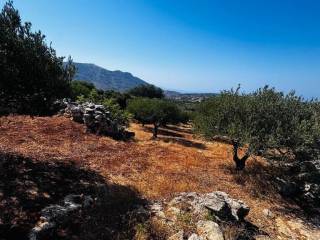 Plot - Grekodom 63958|1006797