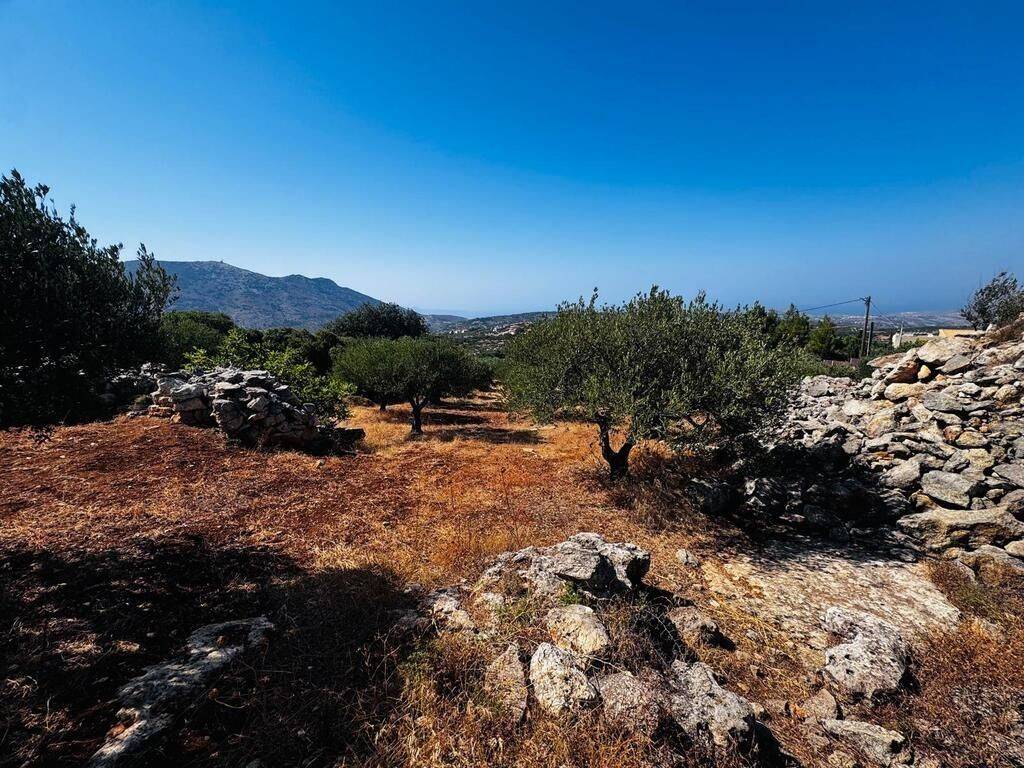 Plot - Grekodom 63958|1006798