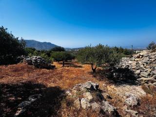 Plot - Grekodom 63958|1006798