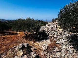 Plot - Grekodom 63958|1006799