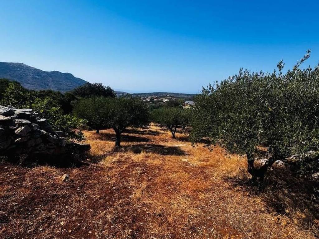 Plot - Grekodom 63958|1006800