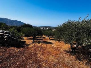 Plot - Grekodom 63958|1006800