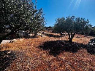 Plot - Grekodom 63958|1006801