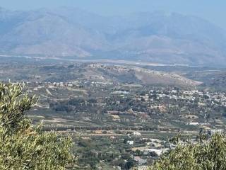 Plot - Grekodom 63957|1006788