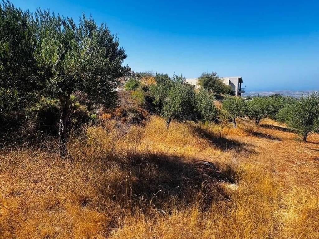 Plot - Grekodom 63958|1006803