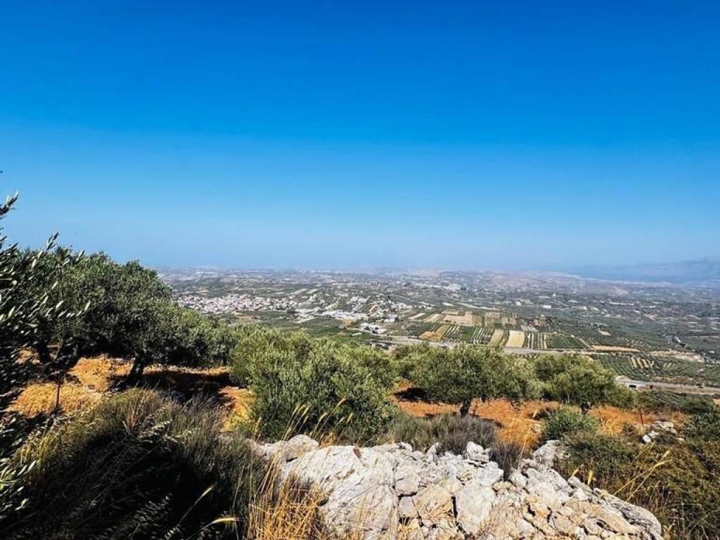 Plot - Grekodom 63957|1006789