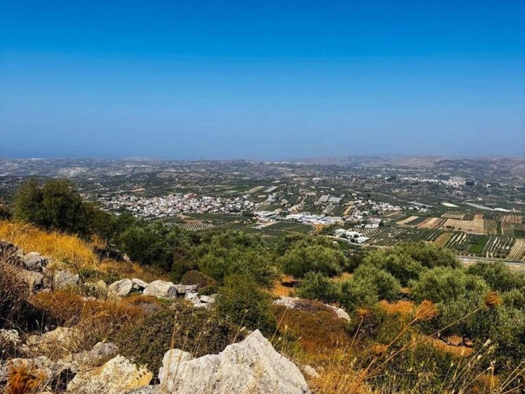 Plot - Grekodom 63958|1006807