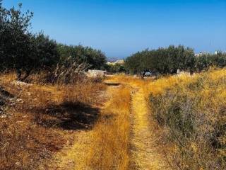 Plot - Grekodom 63958|1006808