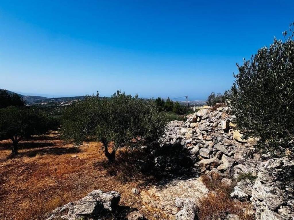 Plot - Grekodom 63957|1006794