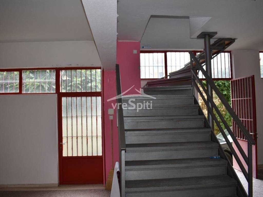 ΑΠΟΨΗ ΚΑΤΑΣΤΗΜΑΤΟΣ