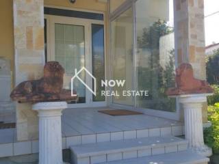 Ύπαρξη ανθρώπου