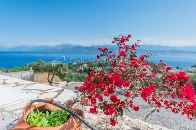 Θέα από μπαλκόνι