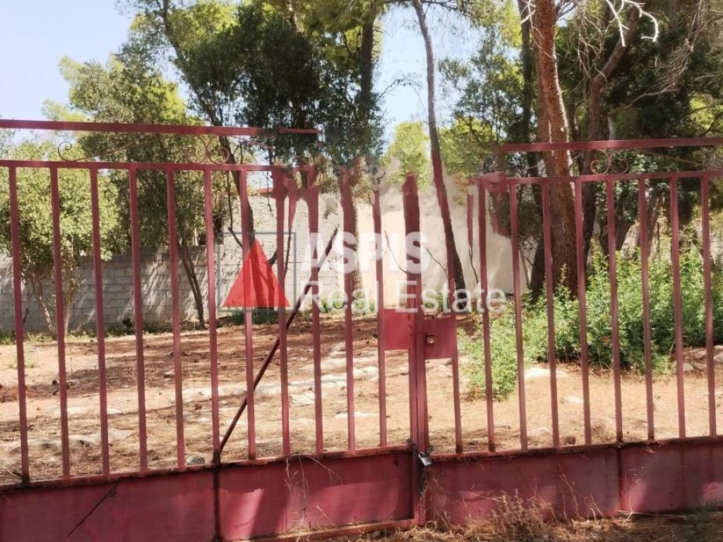 Εξωτερικοι χώροι