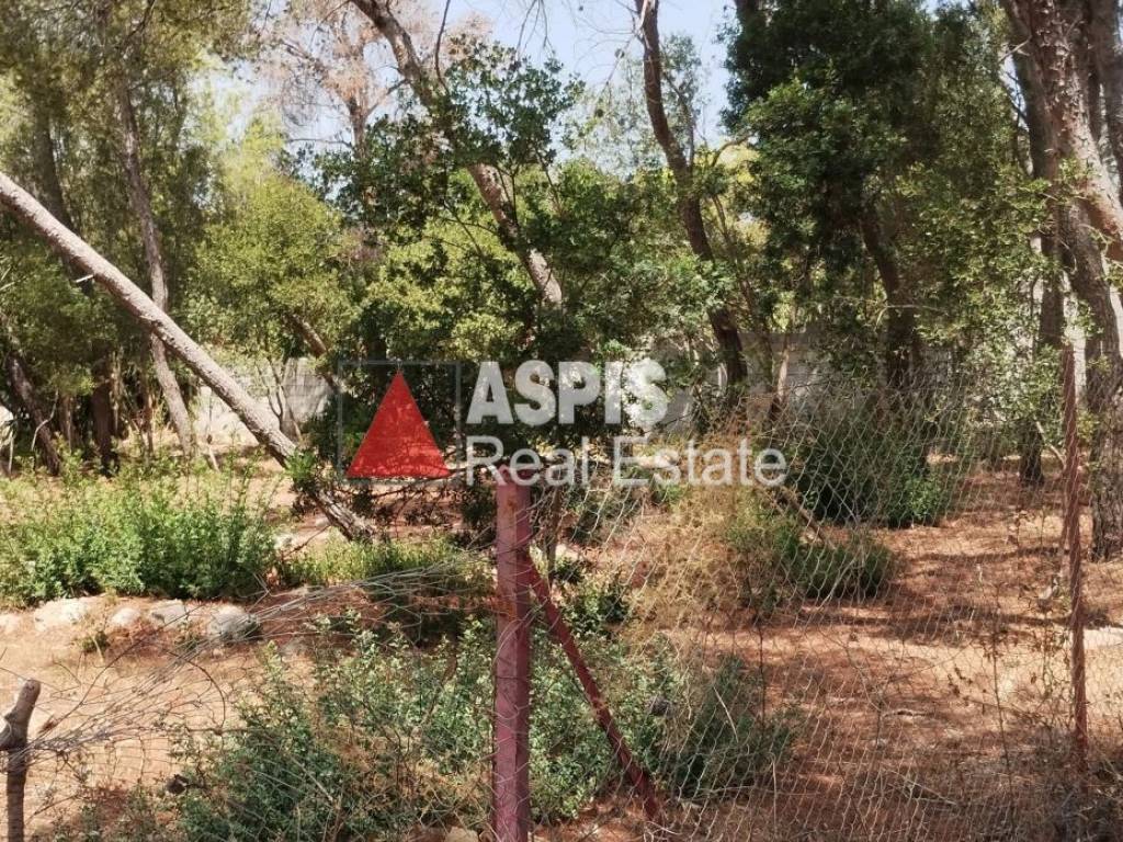 Εξωτερικοι χώροι