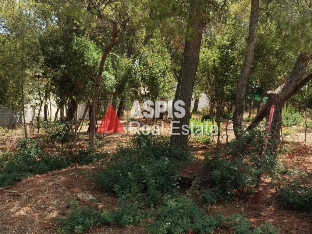 Εξωτερικοι χώροι