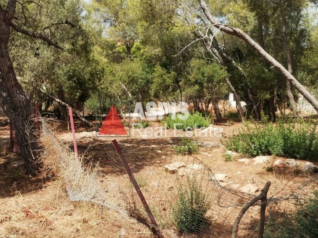 Εξωτερικοι χώροι