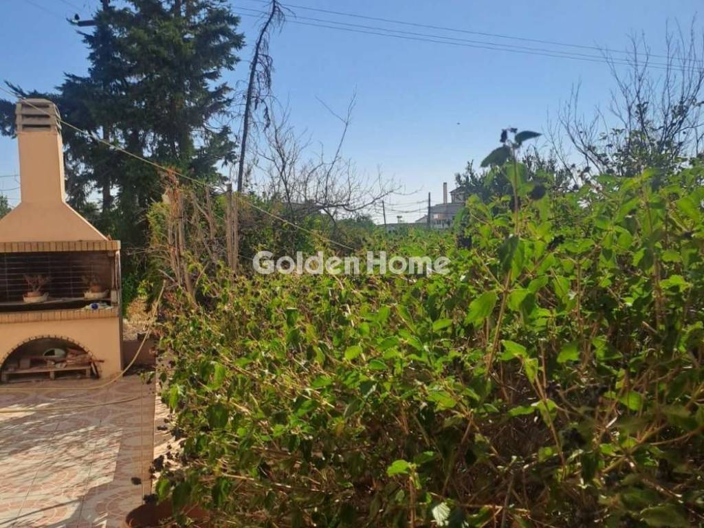 Εξωτερικός Χώρος