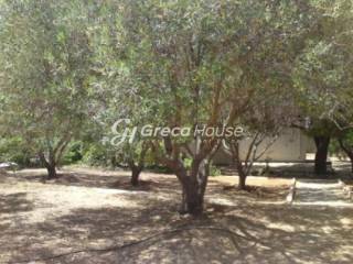 οικόπεδο προς πώληση Μελίσσια