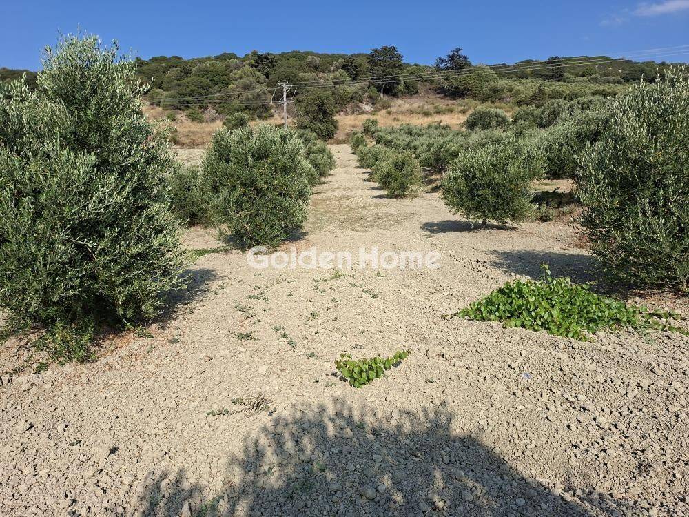 Εξωτερικός Χώρος